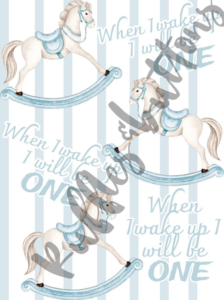 Reserved- RUSH pant set and bday hat