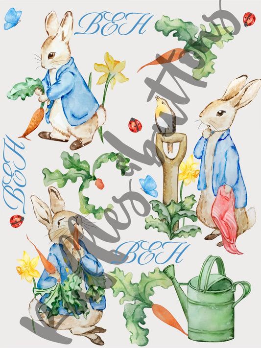 Reserved- gown set with bunny bonnet, dad and brother shirt