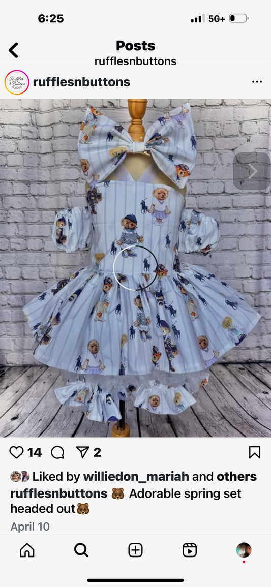 Reserved- bear set RUSH