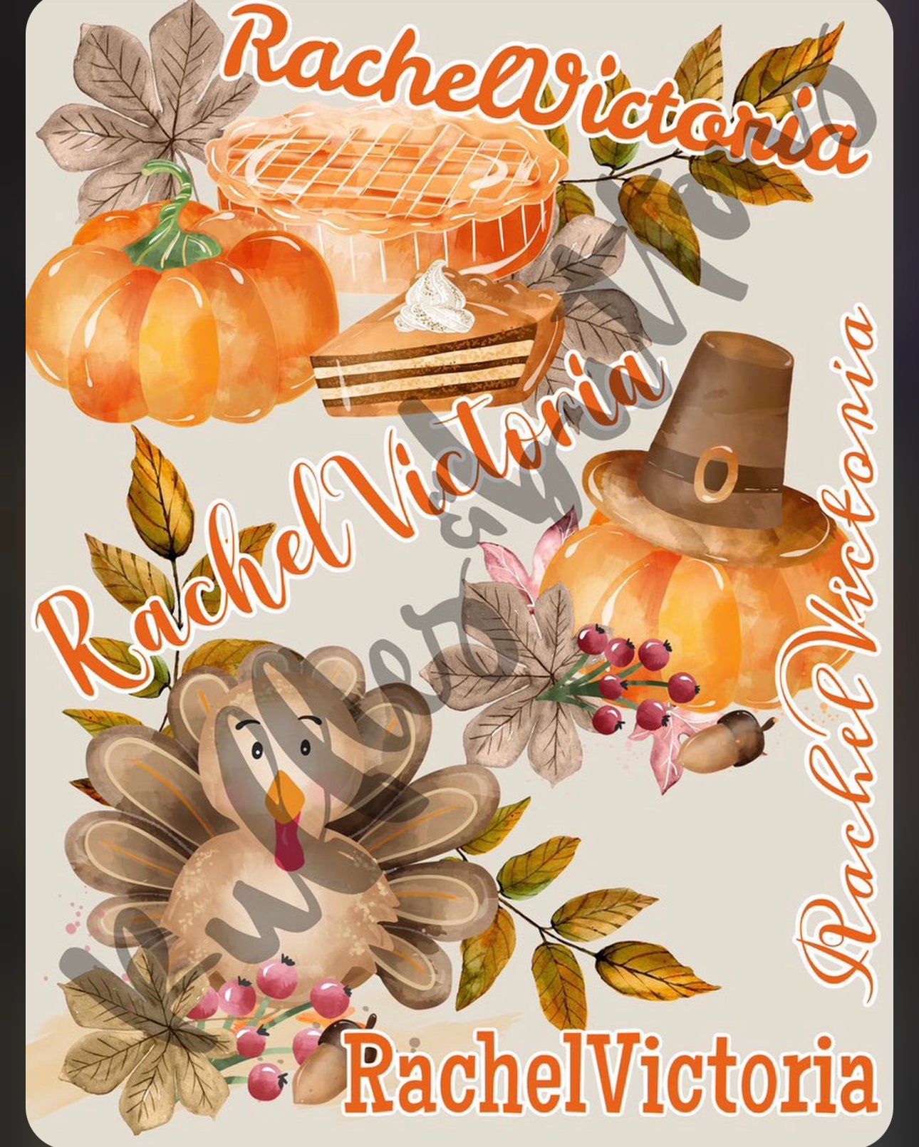 Reset- RachelVictoria