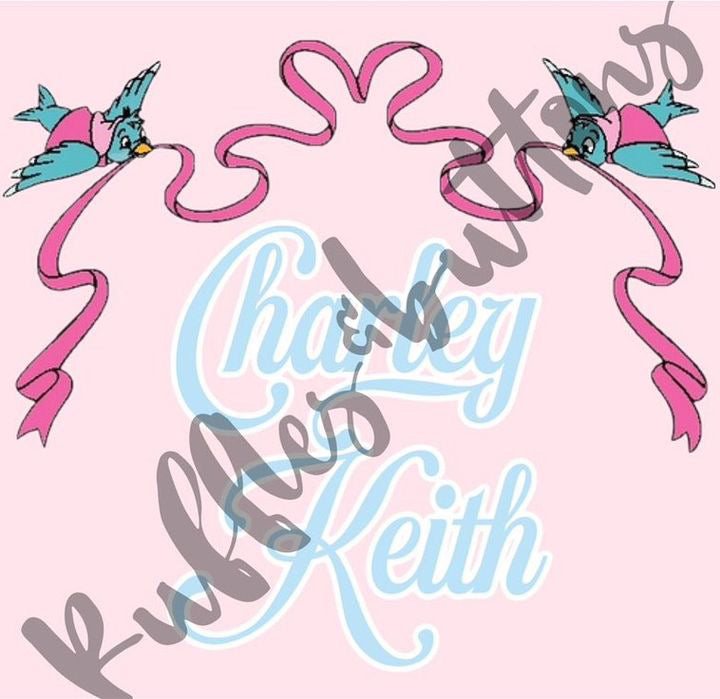 Reserved- 2 car seat canopies and bow sash