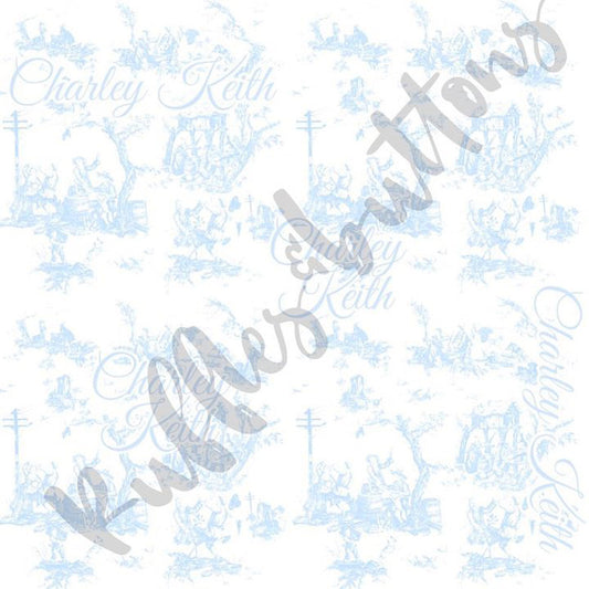 Reserved- 2 car seat canopies and bow sash