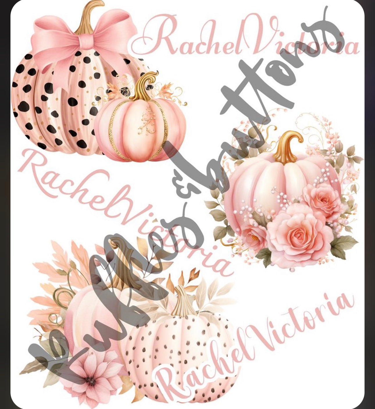 Reset- RachelVictoria