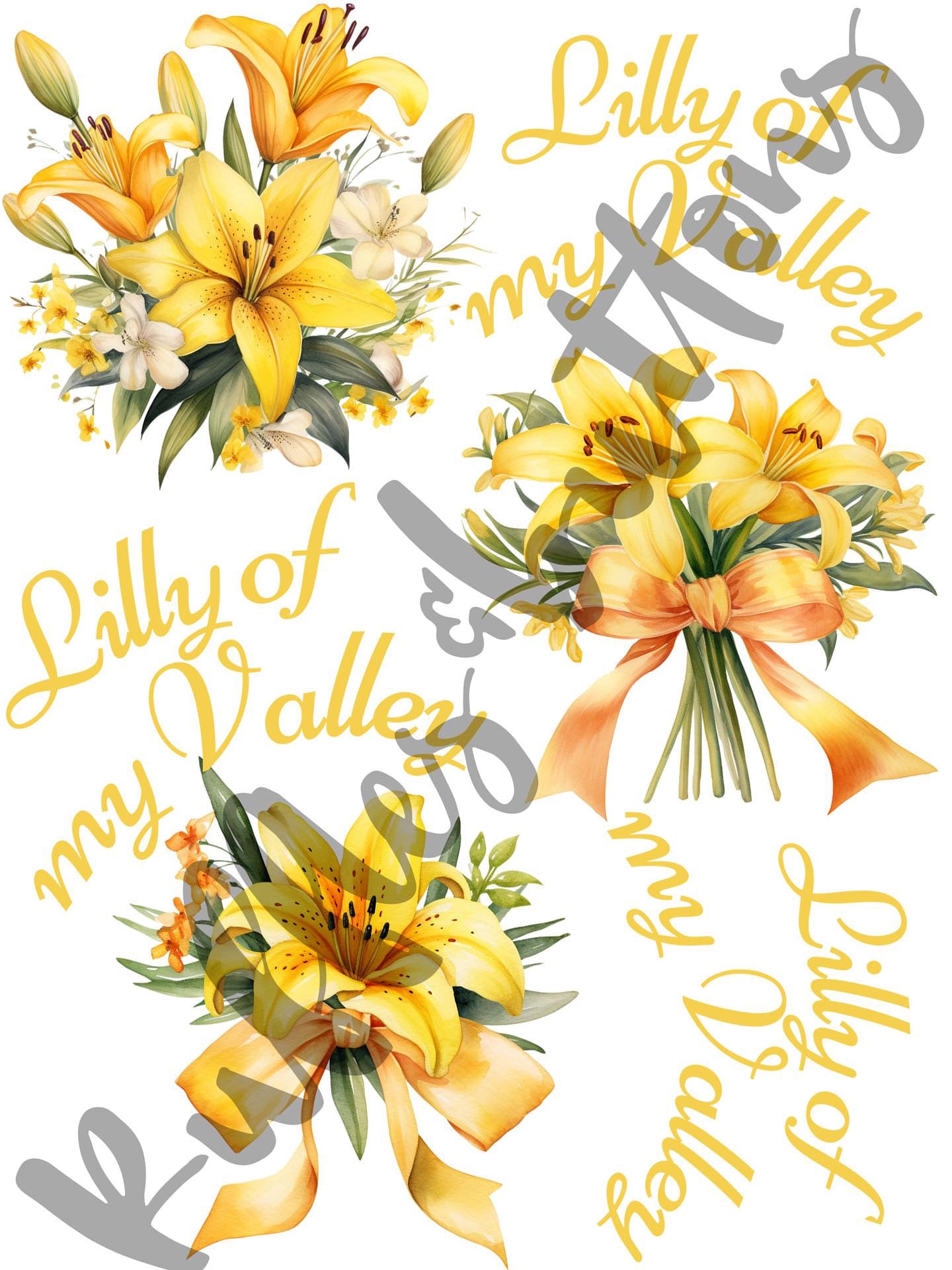 Reserved— lilyana hospital set, big sister dresses, robes