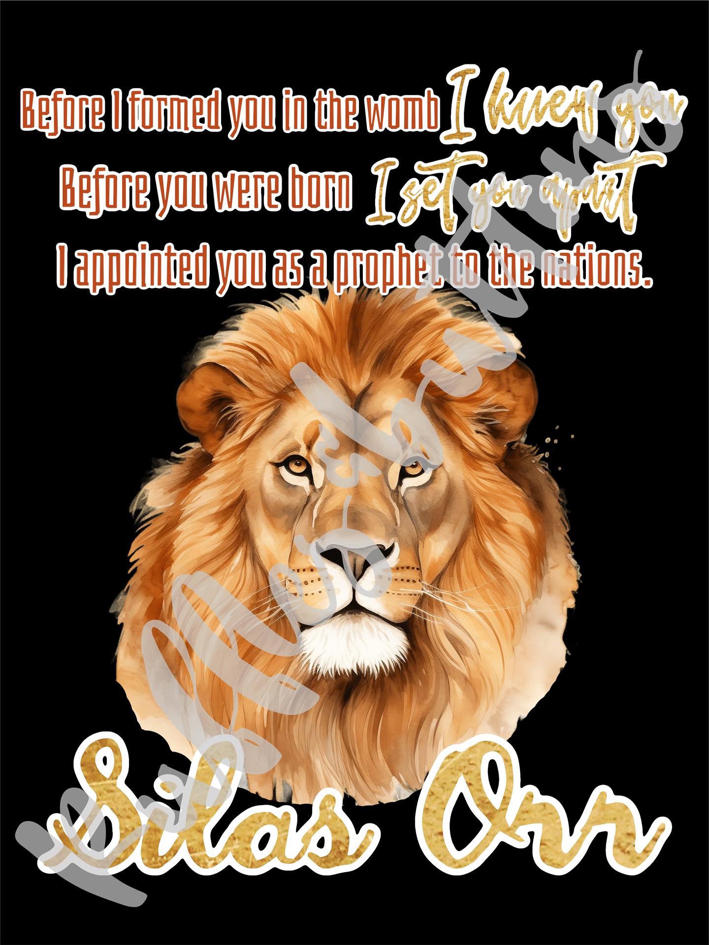 Reserved- Silas gown sets