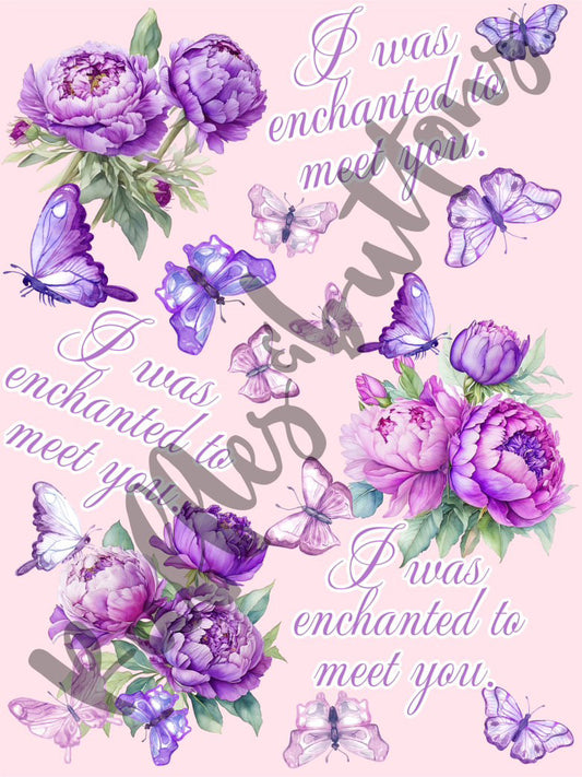 Reserved- swaddle set and blanket for hospital bassinet