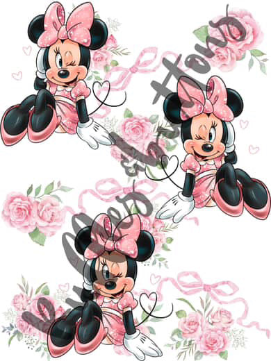 Reserved- Minnie (check address before shipping